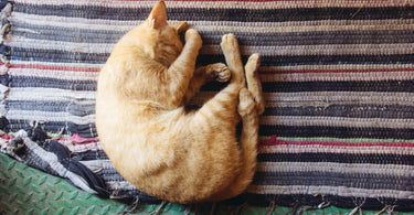 Home Office Rugs